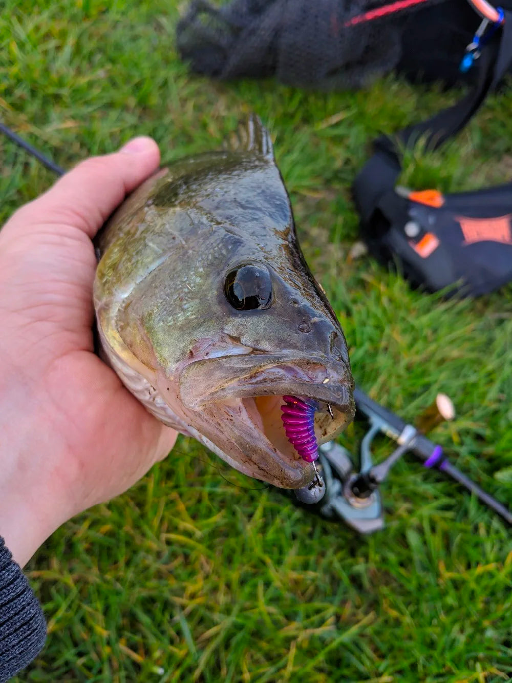 Supercontinent soft worm bait – artificial lure for carp bass, PVA-compatible